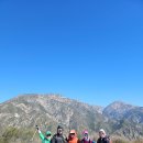 신평도시계획도로 소나무 | 2-2. 강풍 속 산행 - 3/7/2026