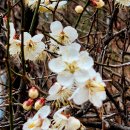 체육공원약수터 이미지