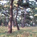 힐링비치 이미지