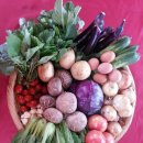 아홉색깔농부 협동조합 이미지