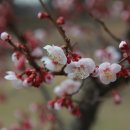 이정현약국 이미지