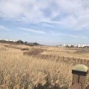씨사이드파크 이미지