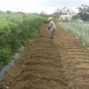 금암농장 이미지