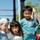 광주어린이대공원 네이버블로그