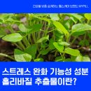 홀리허브