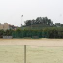 대덕사회인야구장 이미지