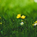 성산일출도서관 이미지