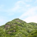 대아수목원&대아호 이미지