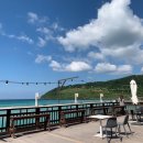 돈돼지나라 이미지