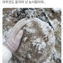 쓰미마셍