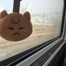 다솜몰 | 260329 성규 LV4 막콘 (막공) 후기