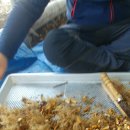 흙뿌리 농장 이미지