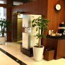 이데아성형외과의원 이미지