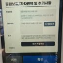 달곰 타이어 | 제주도 렌트카, 니로 전기차 후기 (전기차 충전요금, 전비)