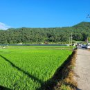 목포해오름 이미지