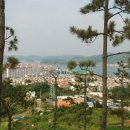 짝꿍숲어린이집 이미지