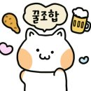 하얀집낙지 이미지