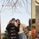 호동이PC방 이미지