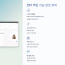 테라벤처스 | 캔바 초보도 10분 만에 전문가처럼 디자인하는 비법 🎨