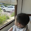 와촌농협동부지점 | 당진 하나로마트 수청점 농협 축협 오픈 주차 재방문 의사 없는 후기