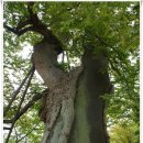 운남로3 이미지