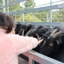 수목원목장 이미지