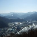 정선공설운동장 Daum카페