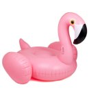 플라밍고 이미지