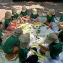 파주시유아숲체험원 이미지