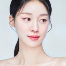 비올레브