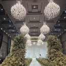 o-16 | [웨딩홀투어16] 메리빌리아 프리모소르홀(어두운홀) 후기(계약O)