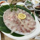 미스터카프라자 | 목포 맛집 박지현 횟집 정화네