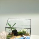 정원교실 이미지