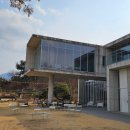 카페덕남 | 청도 카페 덕남 | 딸기 케이크에 넓은 정원까지, 드라이브 카페 추천 내돈내산