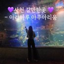 🌊 사천 아라마루 아쿠아리움 관람 팁 총정리 (케이블카 탑승 후기 + 주차, 셔틀버스, 할인 정보까지!)