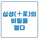 운명을 읽다 사주명리학(초급) | 내 운명의 열쇠, 십성(十星)의 비밀을 열다