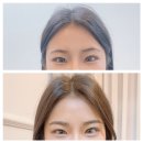 눈썹대장 이미지