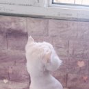 동광로1길 99 (1) 이미지