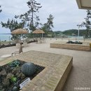 커피쏘냥 이미지