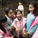 솔빛숲유치원 이미지