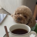 리얼팩토리 이미지