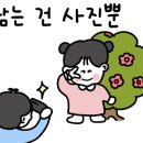 다시쓰는유럽 이미지