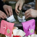 평창군 종합관광안내소 이미지