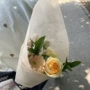 아띠-Lflower 이미지