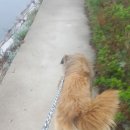 아일랜드 스토리 펜션 이미지