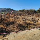 울산EDA승마장 티스토리