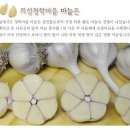 봄의보약 오신채(五辛菜) 이미지