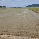 화니농장 이미지