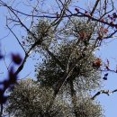 대우건강원 이미지