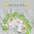 [의정부 강아지 분양] 훈련사 사장님의 역대급 사후관리! 루이스펫샵 솔직후기🐶✨